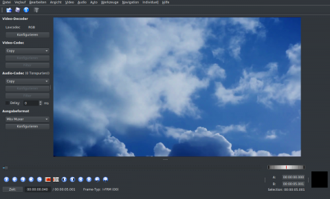 Screenshot Avidemux 2020 Ubuntu