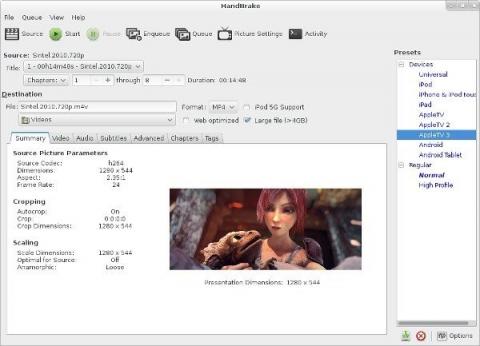 Screenshot Handbrake 2012 Ubuntu